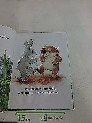 Вот ты где, Вомбатик!