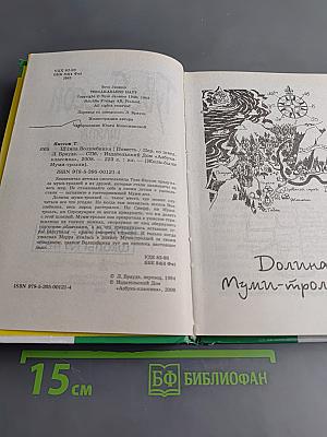 Шляпа волшебника