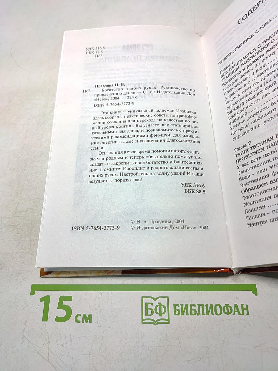 Богатство в моих руках! Руководство по привлечению денег