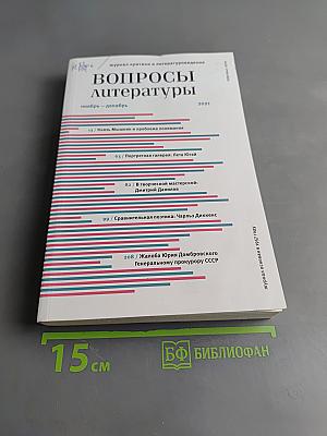 Вопросы литературы № 6