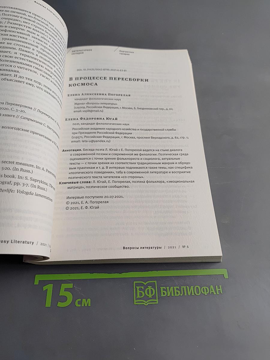 Вопросы литературы № 6