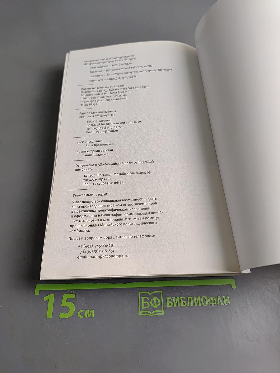 Вопросы литературы № 6