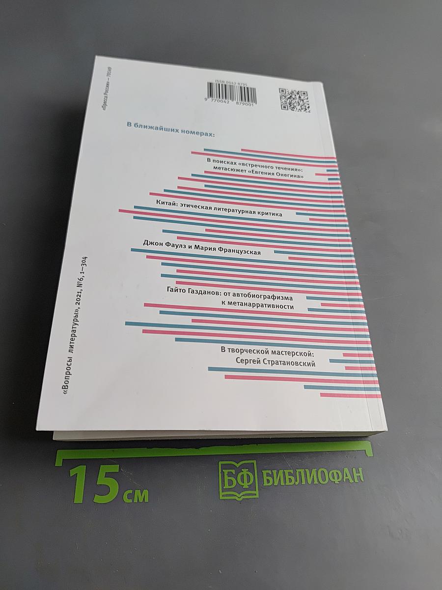 Вопросы литературы № 6