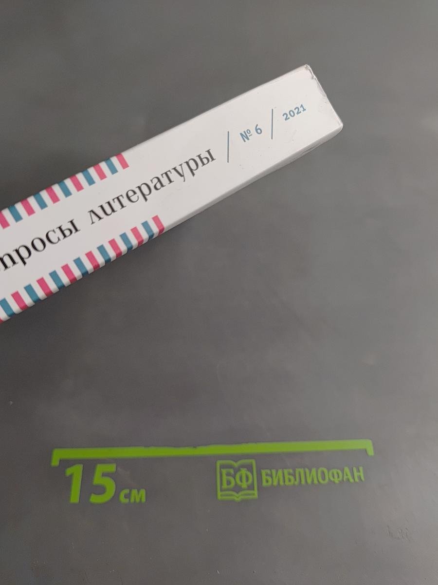 Вопросы литературы № 6