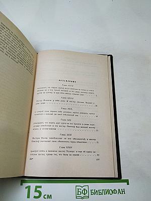 Жизнь и приключения Мартина Чезлвита. Том 2