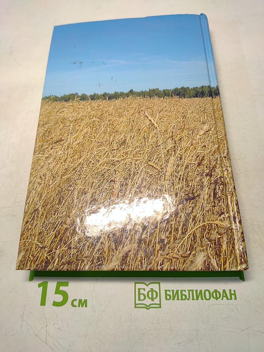 Зерно Господней пшеницы