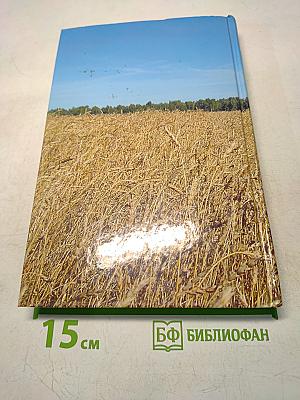 Зерно Господней пшеницы