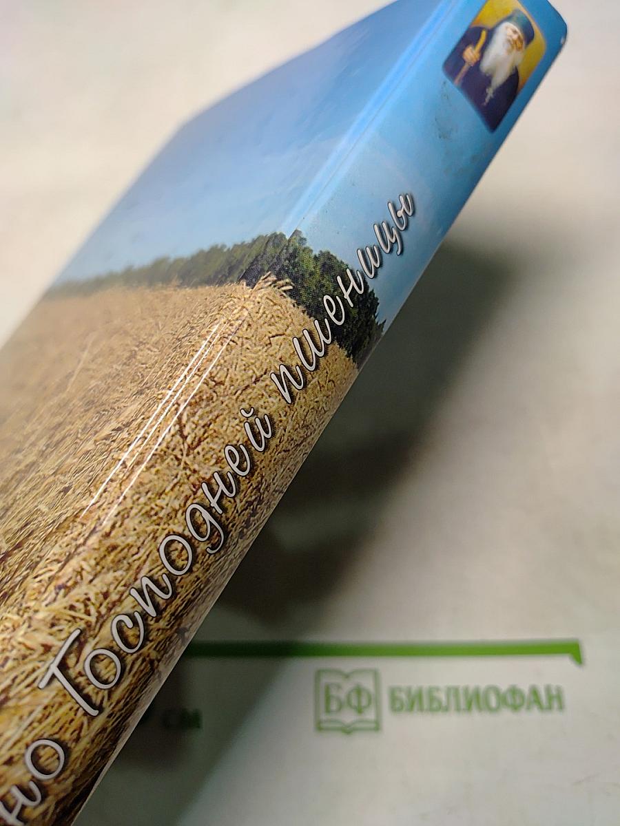 Зерно Господней пшеницы