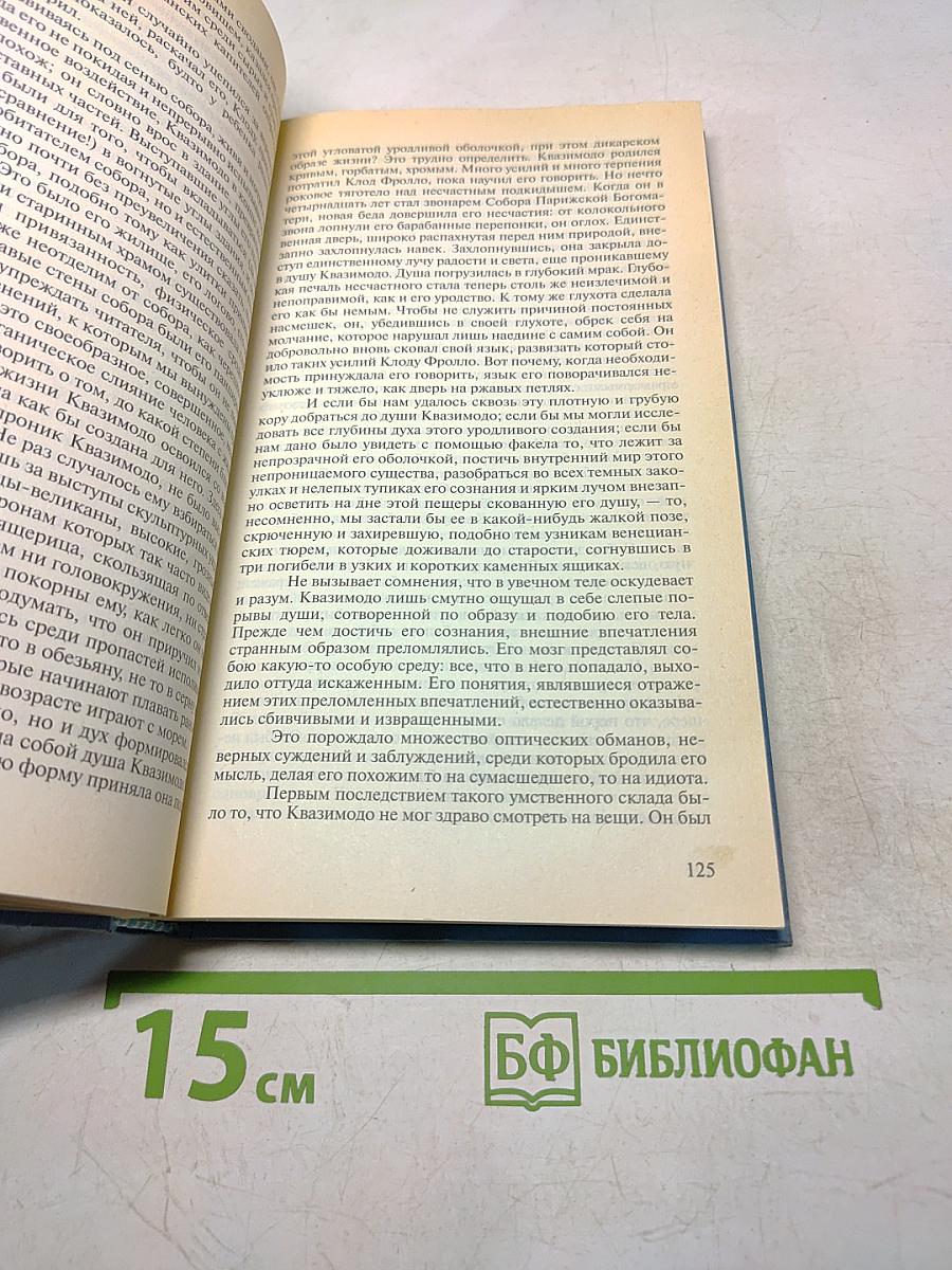 Собор Парижской Богоматери. Том 1