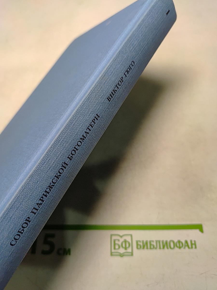 Собор Парижской Богоматери. Том 1