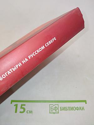 Богатыри на русском Севере. Сюжеты и ареалы бытования