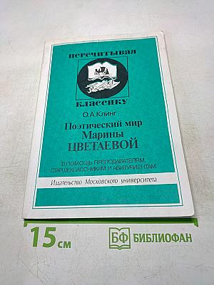 Поэтический мир Марины Цветаевой