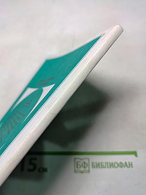 Поэтический мир Марины Цветаевой
