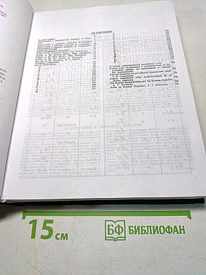 Большой русско-английский словарь