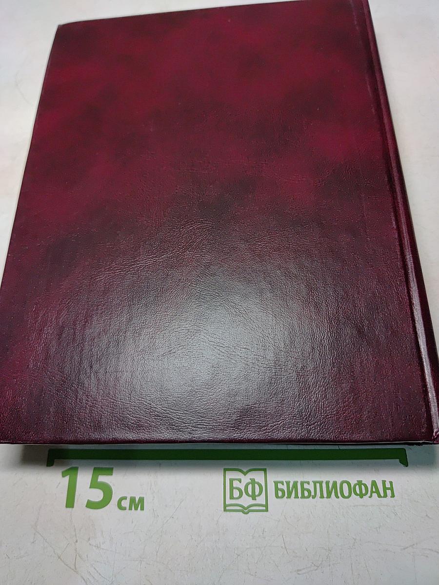 Большой русско-английский словарь