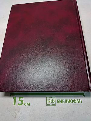Большой русско-английский словарь