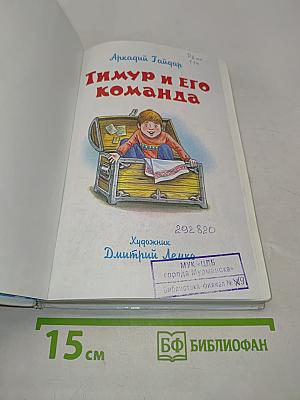 Тимур и его команда