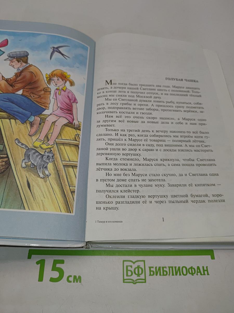 Тимур и его команда