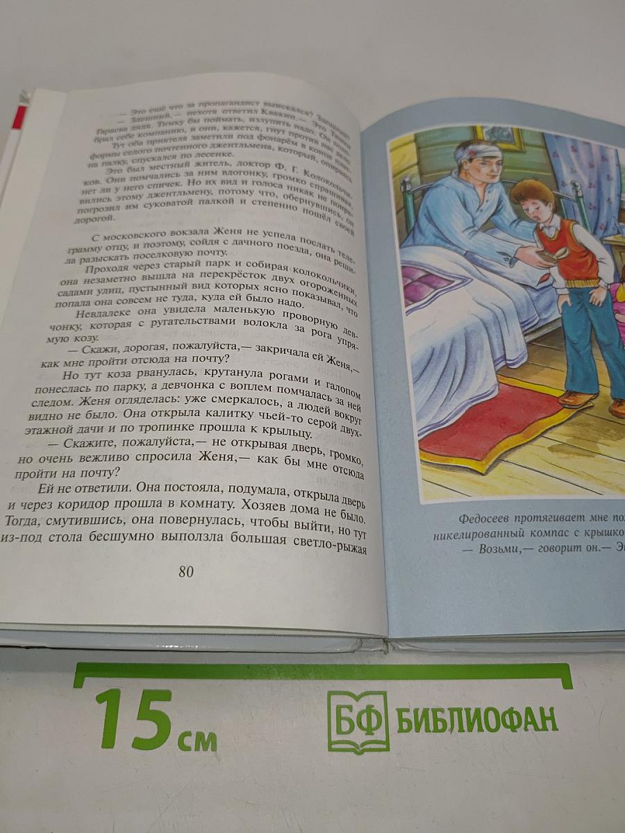 Тимур и его команда