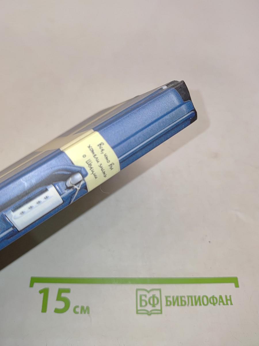 Всё, что вы хотели знать о Швеции