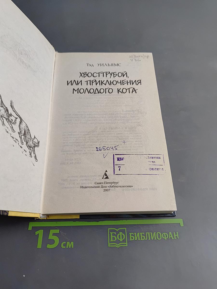 Хвосттрубой, или Приключения молодого кота