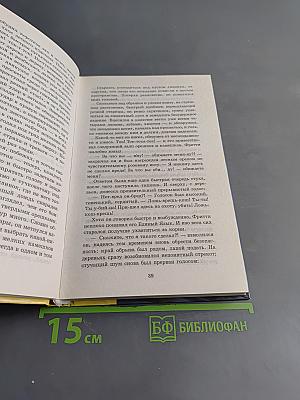 Хвосттрубой, или Приключения молодого кота