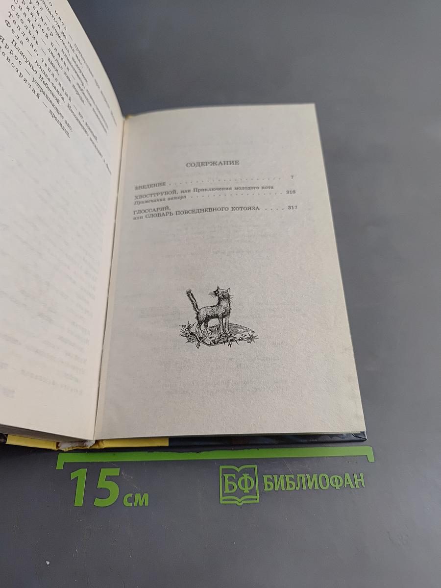 Хвосттрубой, или Приключения молодого кота