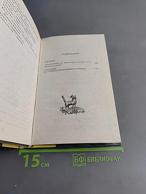 Хвосттрубой, или Приключения молодого кота