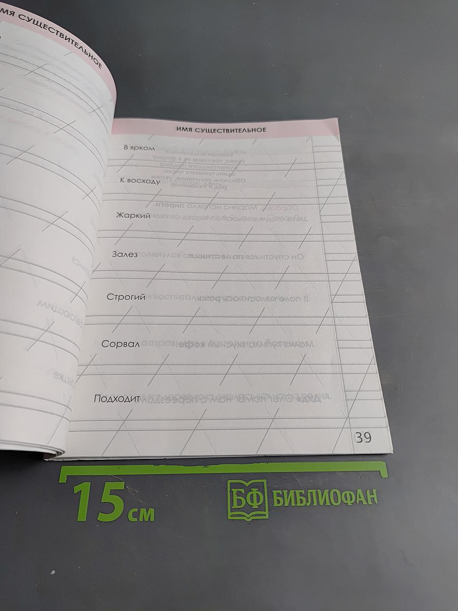 Русский язык. Комплексный тренажёр. 4 класс