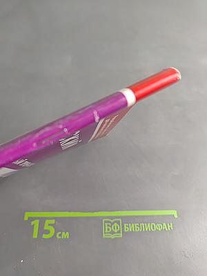 Русский язык. Комплексный тренажёр. 4 класс