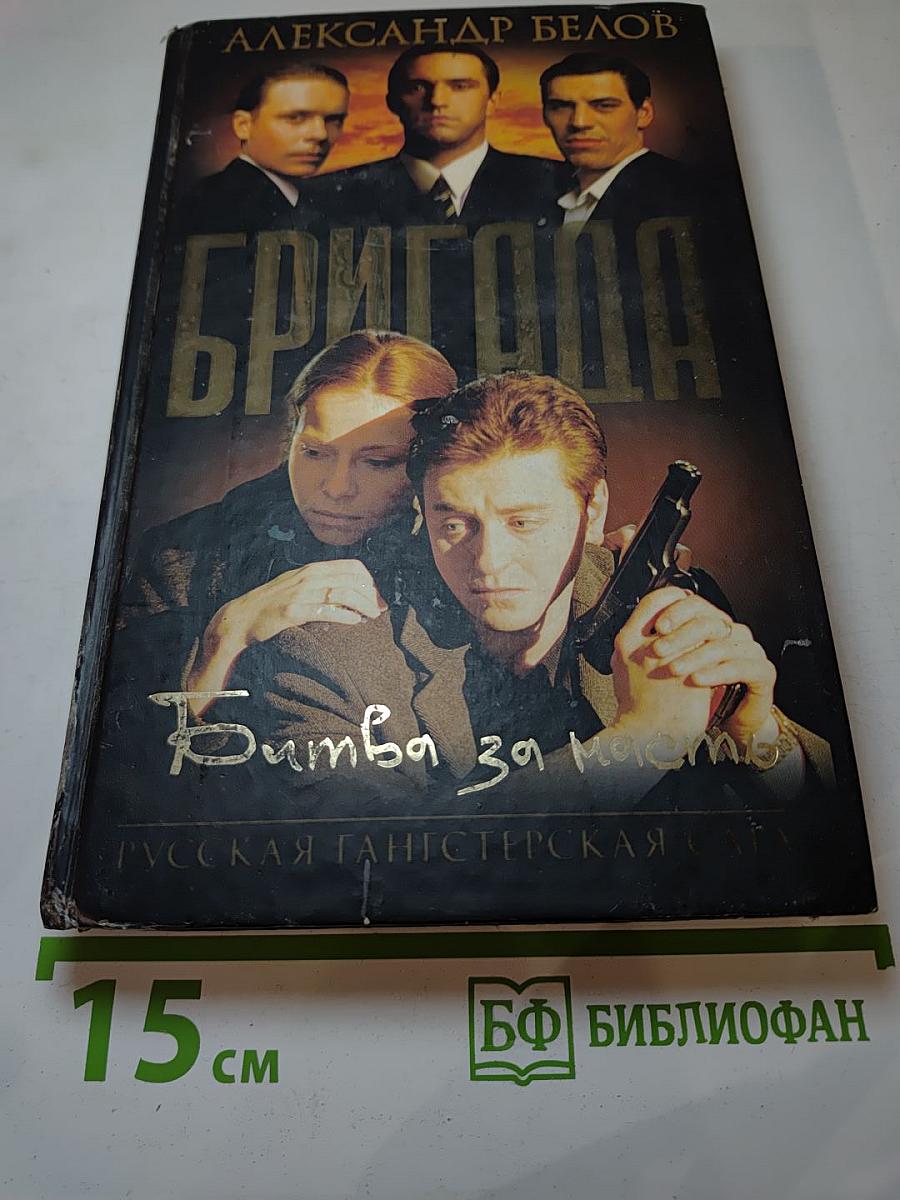 Бригада. Битва за масть. Книга 2