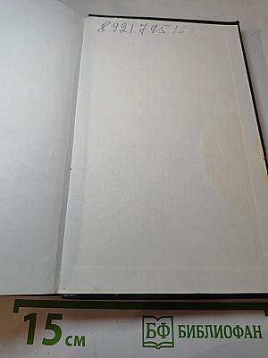 Бригада. Битва за масть. Книга 2