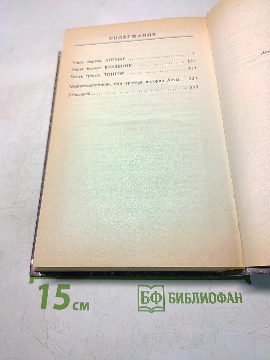Асмир. Потрясатель Тверди. Том первый