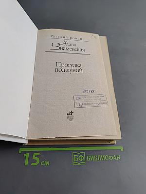 Прогулка под луной