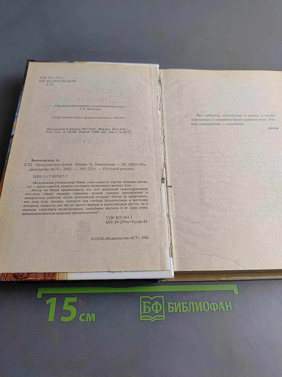Прогулка под луной