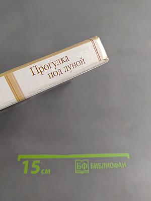 Прогулка под луной