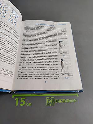 Физика. 8 класс