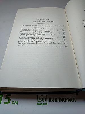 Собрание сочинений в 24 томах. Том 21. Человеческая комедия. Озорные рассказы