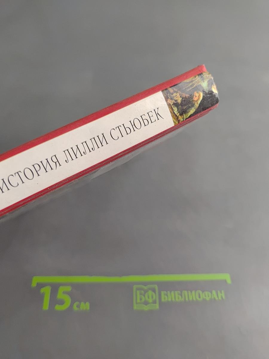 Правдивая история Лилли Стюбек