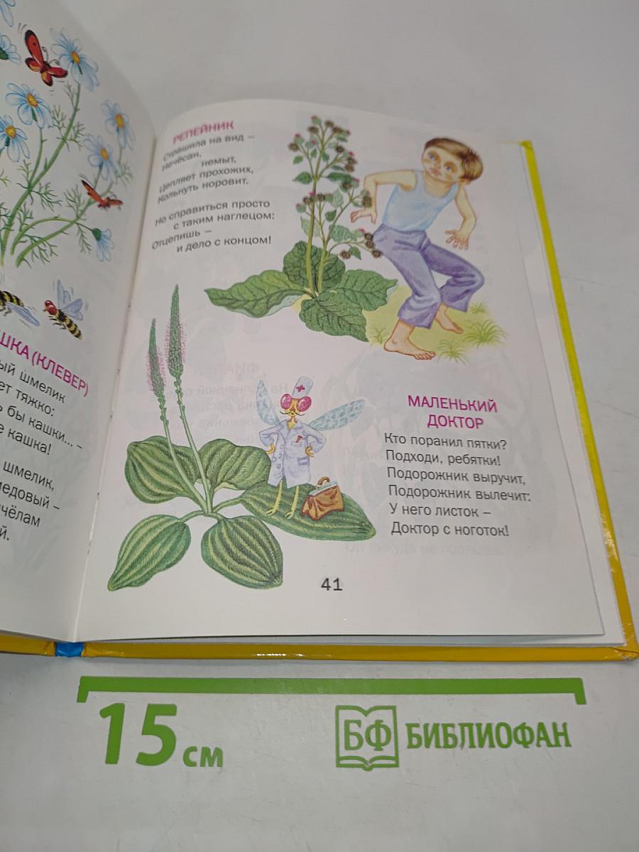 Зелёная страна