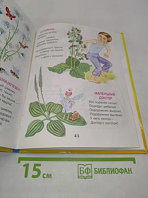 Зелёная страна