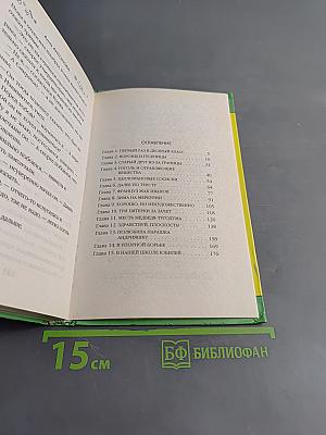 Лето на Меркурии