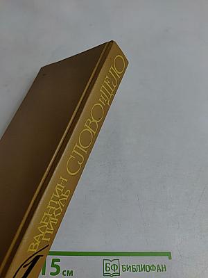 Слово и дело. Роман-хроника брешен Анны Иоанновны