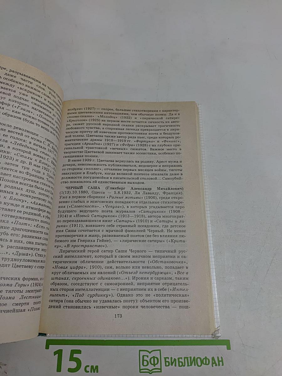 Справочник школьника. Литература