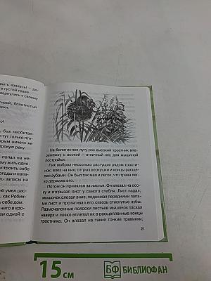 Лесные домишки