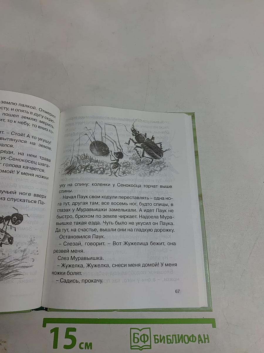 Лесные домишки
