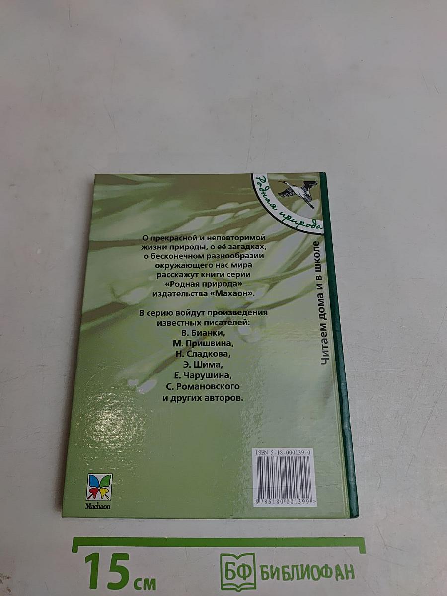 Лесные домишки