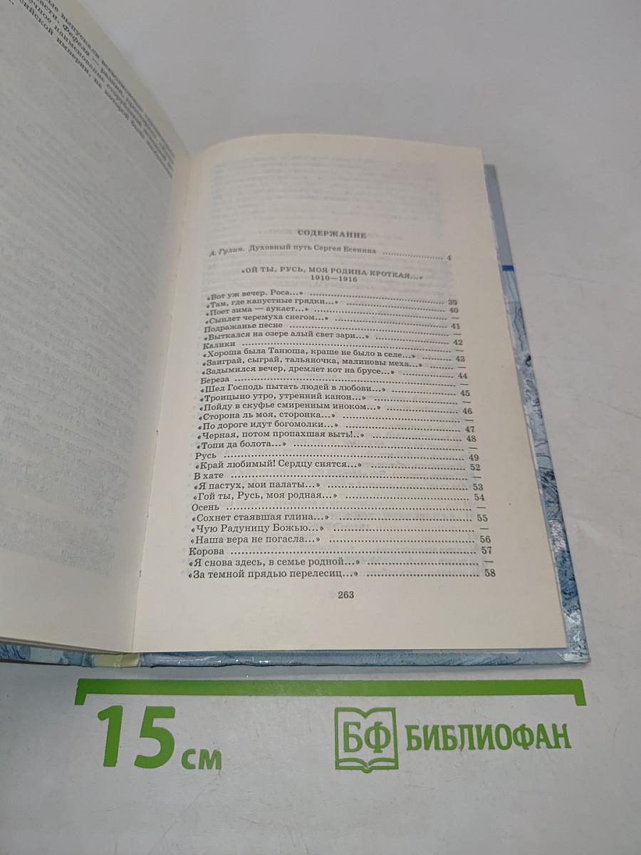 Душа грустит о небесах...