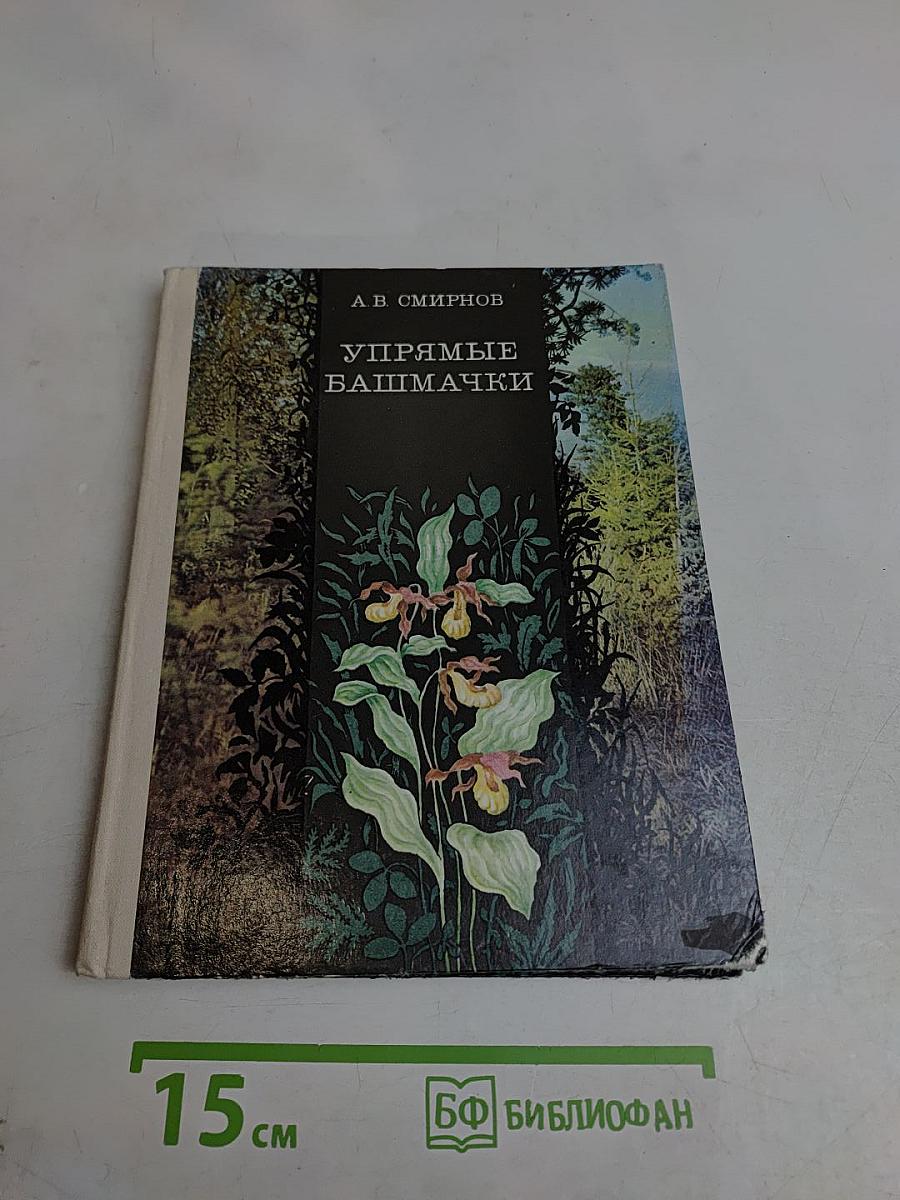 Упрямые башмачки