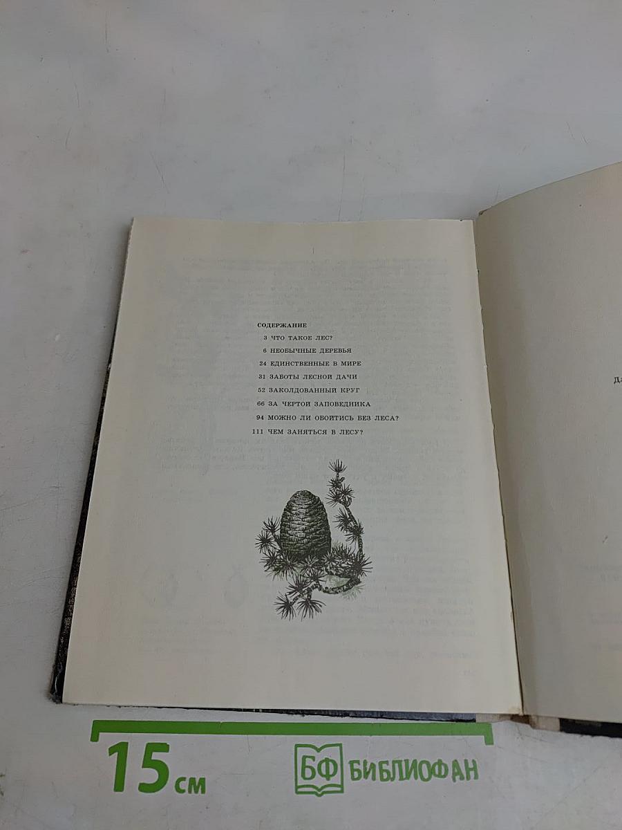 Упрямые башмачки